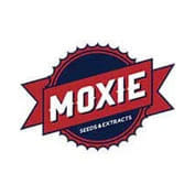 V.C.D.C Feminised Seeds - 6