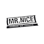 Ghandi CBD Feminised Seeds - 5