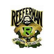 Willie Nelson Regular Seeds - 10