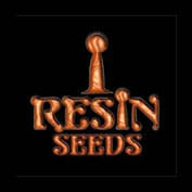 Bubblicious Regular Seeds - 10