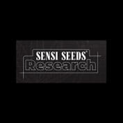 Sweet and Sour Cream Auto Feminised Seeds