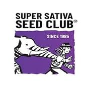 Crystal White Kush Feminised Seeds