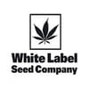 White Cheese Feminised Seeds