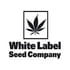 White Cheese