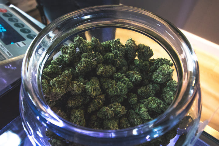 how does burping help cannabis