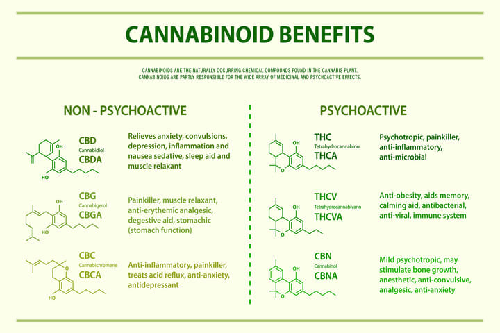 cannabinoids-for-beginners.jpg
