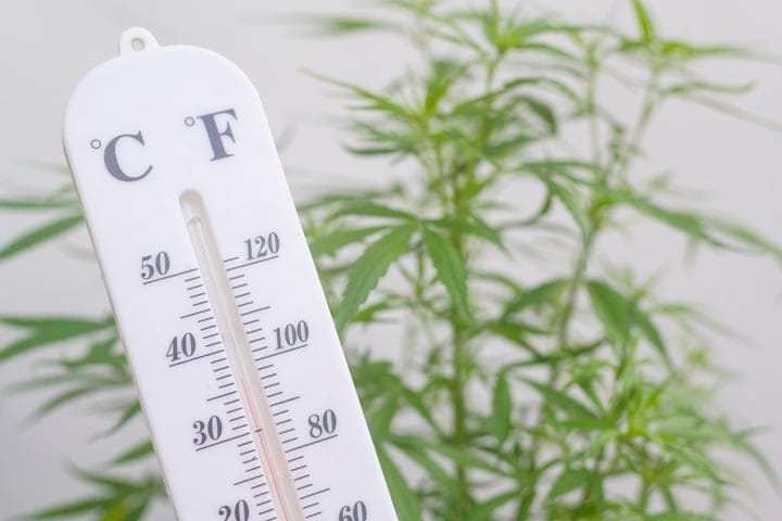 ideal cannabis temperatures