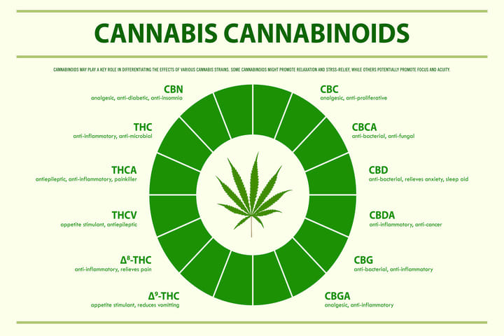 cannabinoids in cannabis