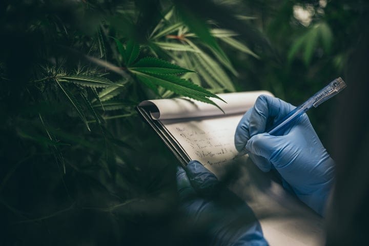why you should keep a grow journal