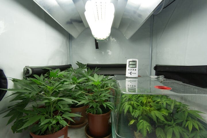 treat the grow room as an ecosystem