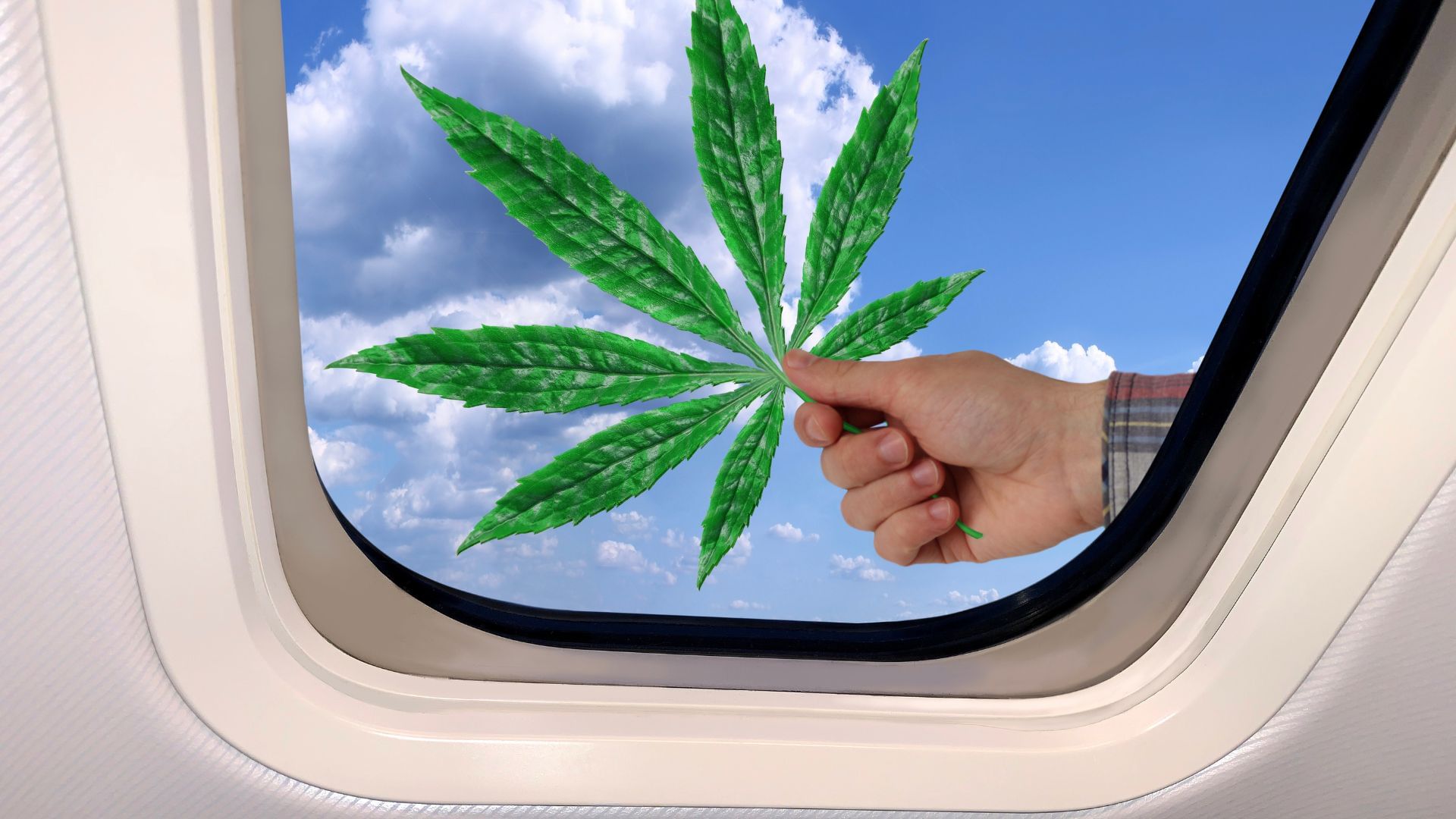 Cannabis leaf through aeroplane window
