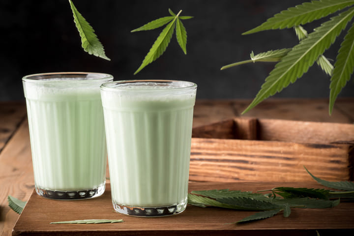 juice raw marijuana leaves
