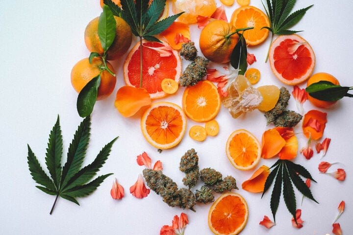 what are cannabis terpenes