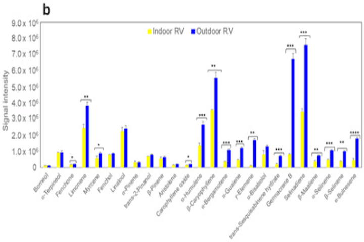 outdoor v indoor terpene production