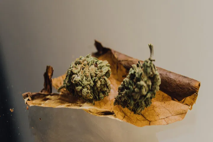 Blunts are made with cigar wraps