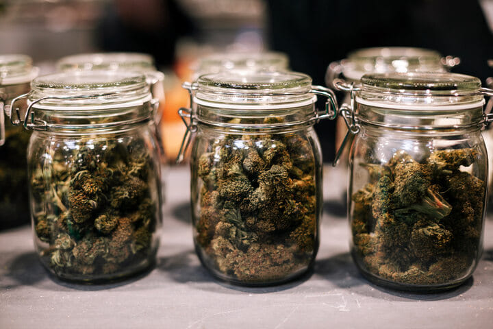 how to cure buds for terpene preservation