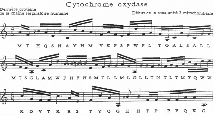 Joel Sternheimer composition for plants