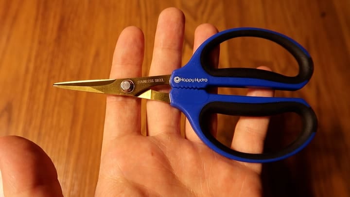 prune using sharp scissors