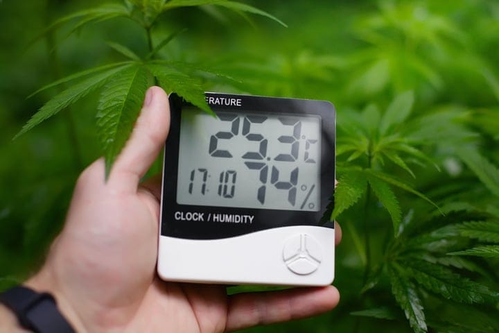 how to measure cannabis grow tent humidity