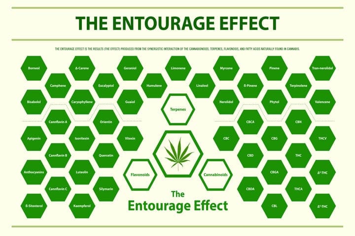 entourage effect explained