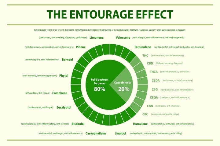 entourage effect explained