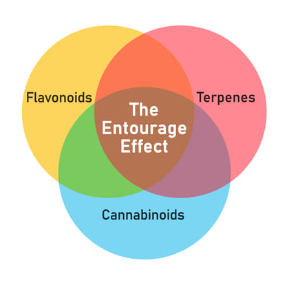 entourage effect