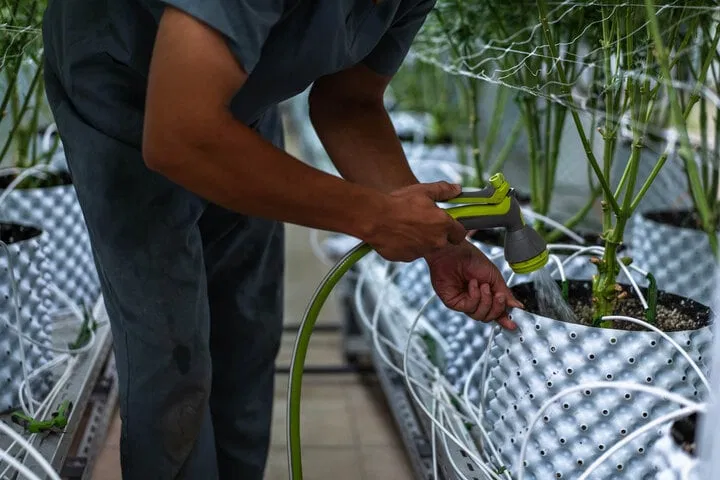 flushing for nutrient burn