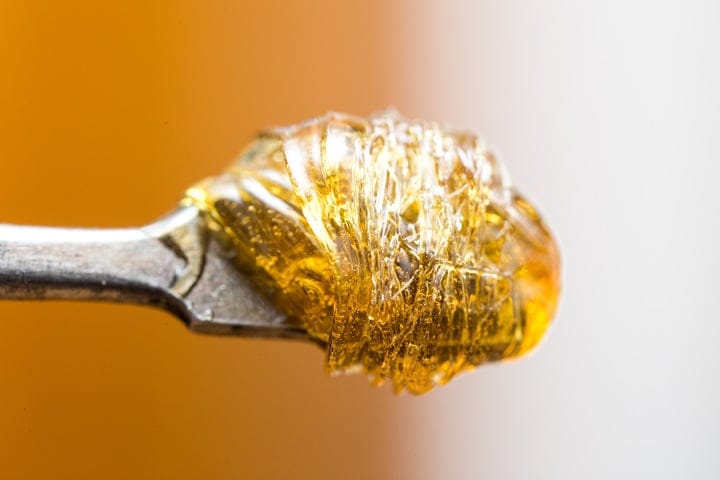 what does fresh rosin look like?