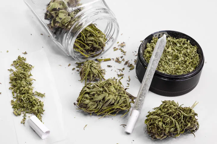 grind weed right for a smooth burning joint 