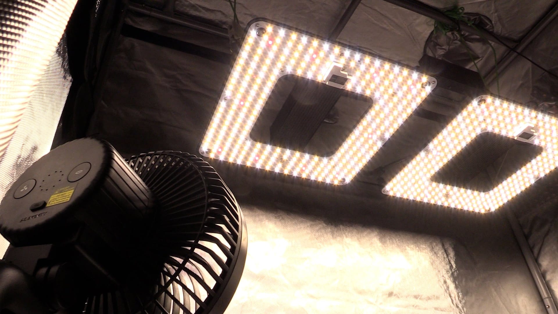 choose lights in accordance with canopy size