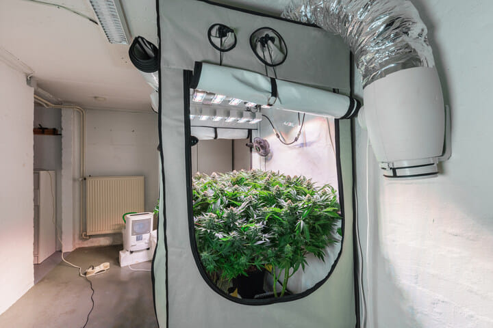 where to situate an indoor grow tent in winter