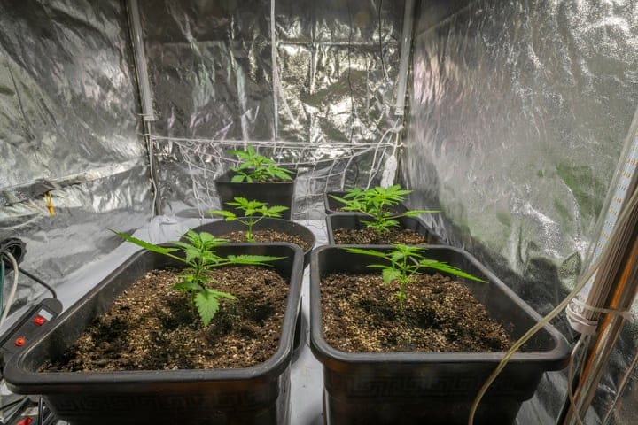 how to set up your grow tent for winter