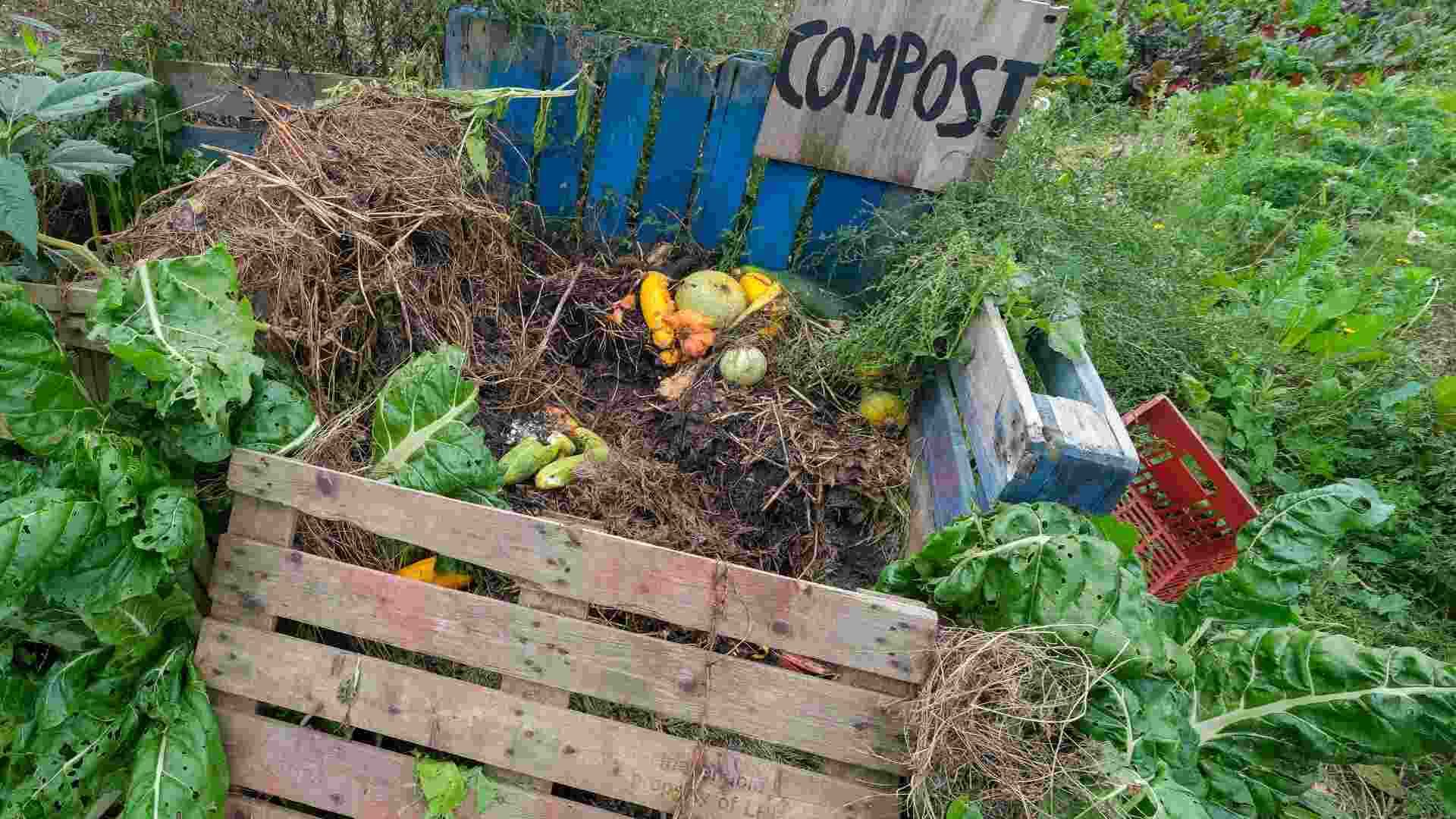 homemade compost for organic soil