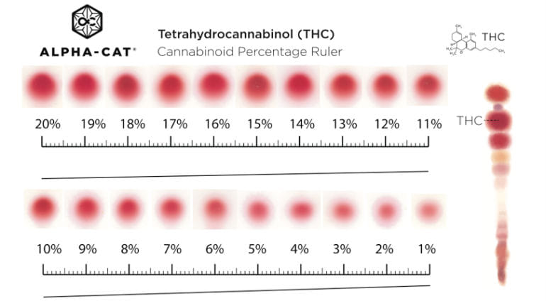 how to read a home thc test kit