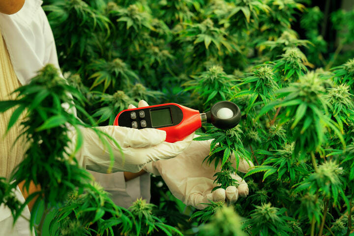 best temperature and humidity for resin production