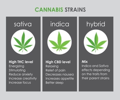 indica vs sativa differences