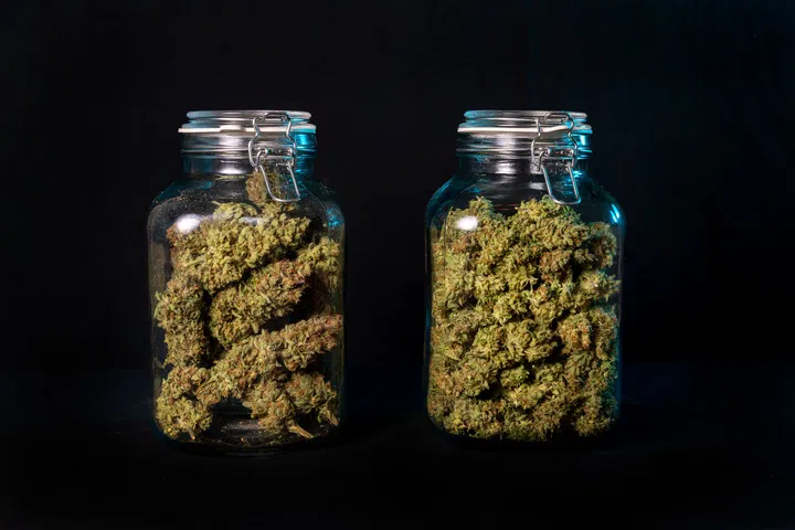 Lagere dein Cannabis in Gläsern