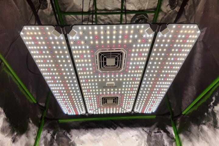LED grow lights
