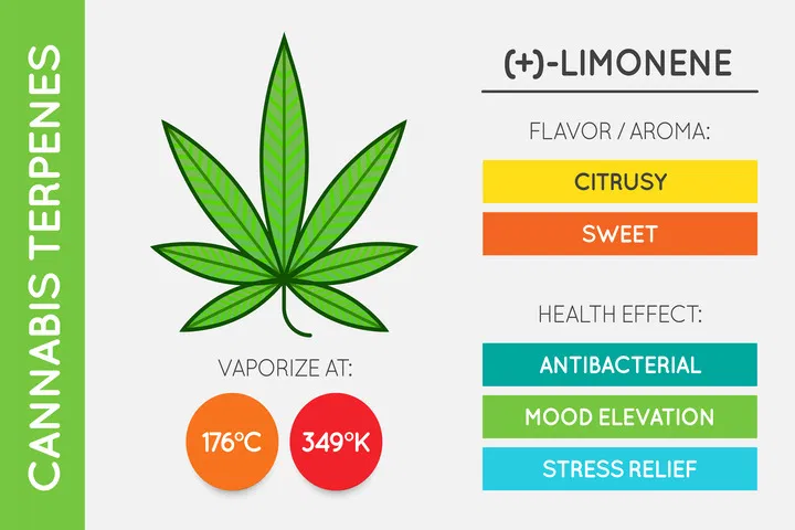 What is limonene