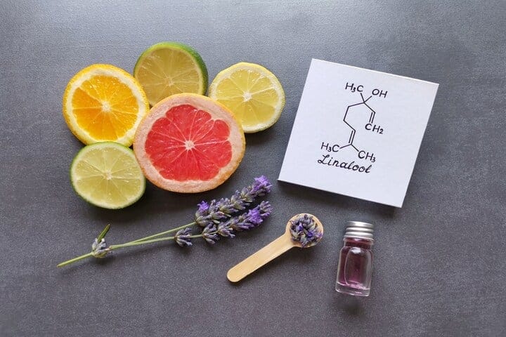 what do certain terpenes smell like