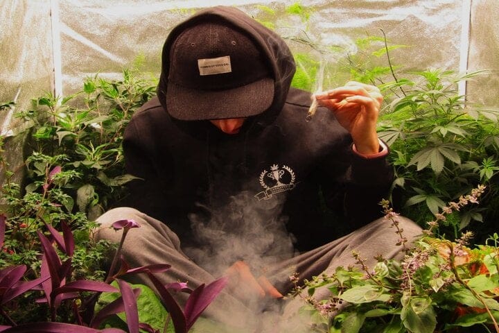 mutantfarmer the breeder behind freaky ryder auto
