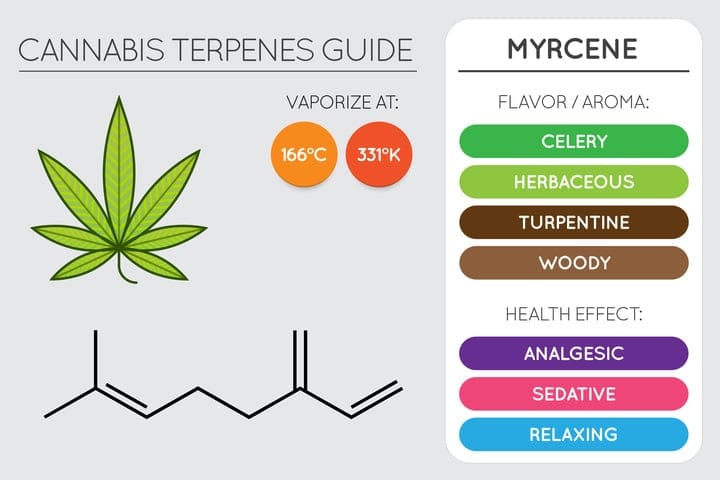 what is myrcene