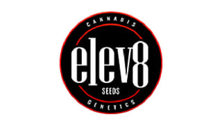 elev8-seeds
