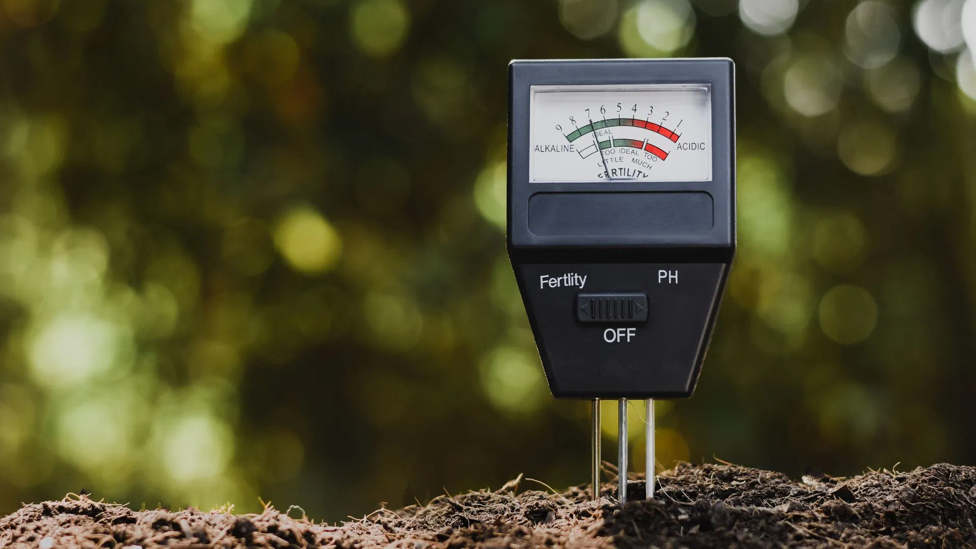 pH meter