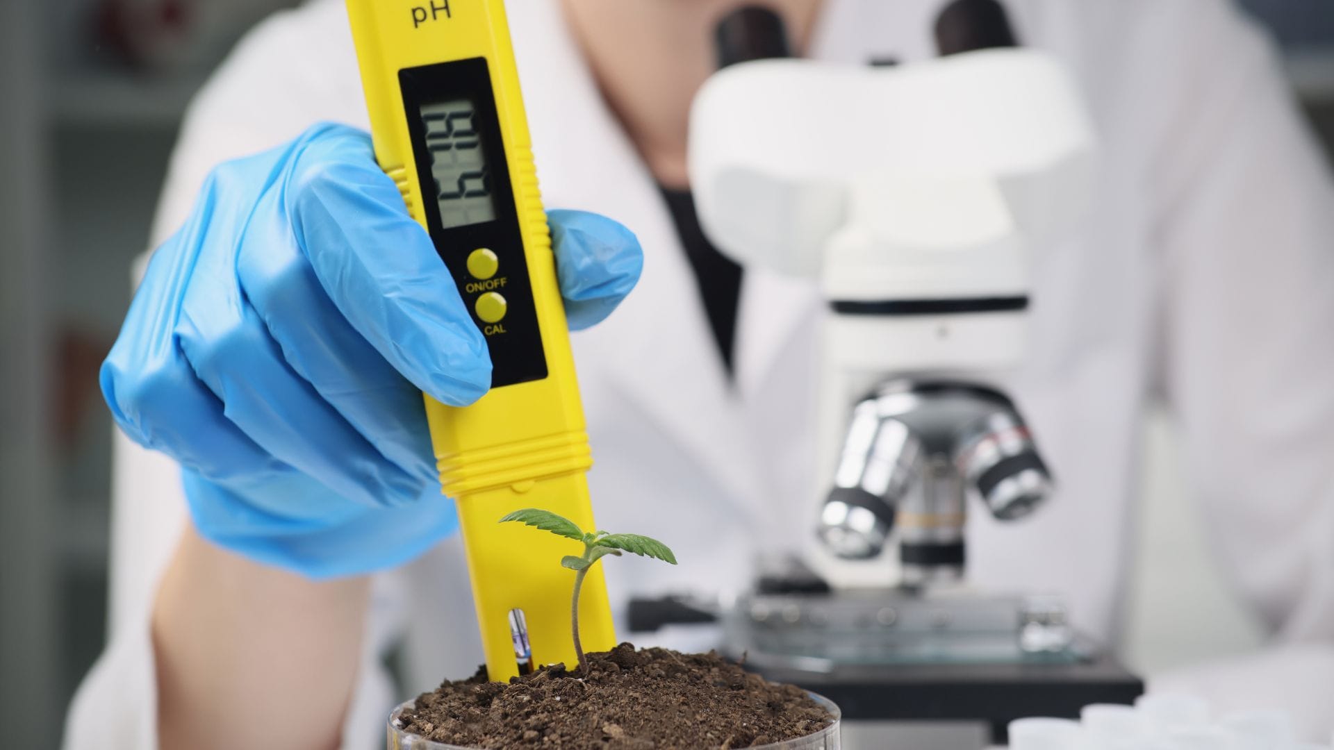 Monitoring pH regularly can help combat a zinc deficiency