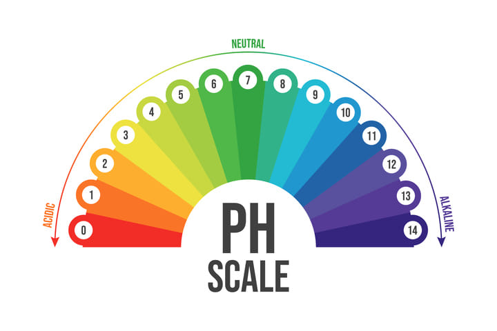 the importance of pH for cannabis growth
