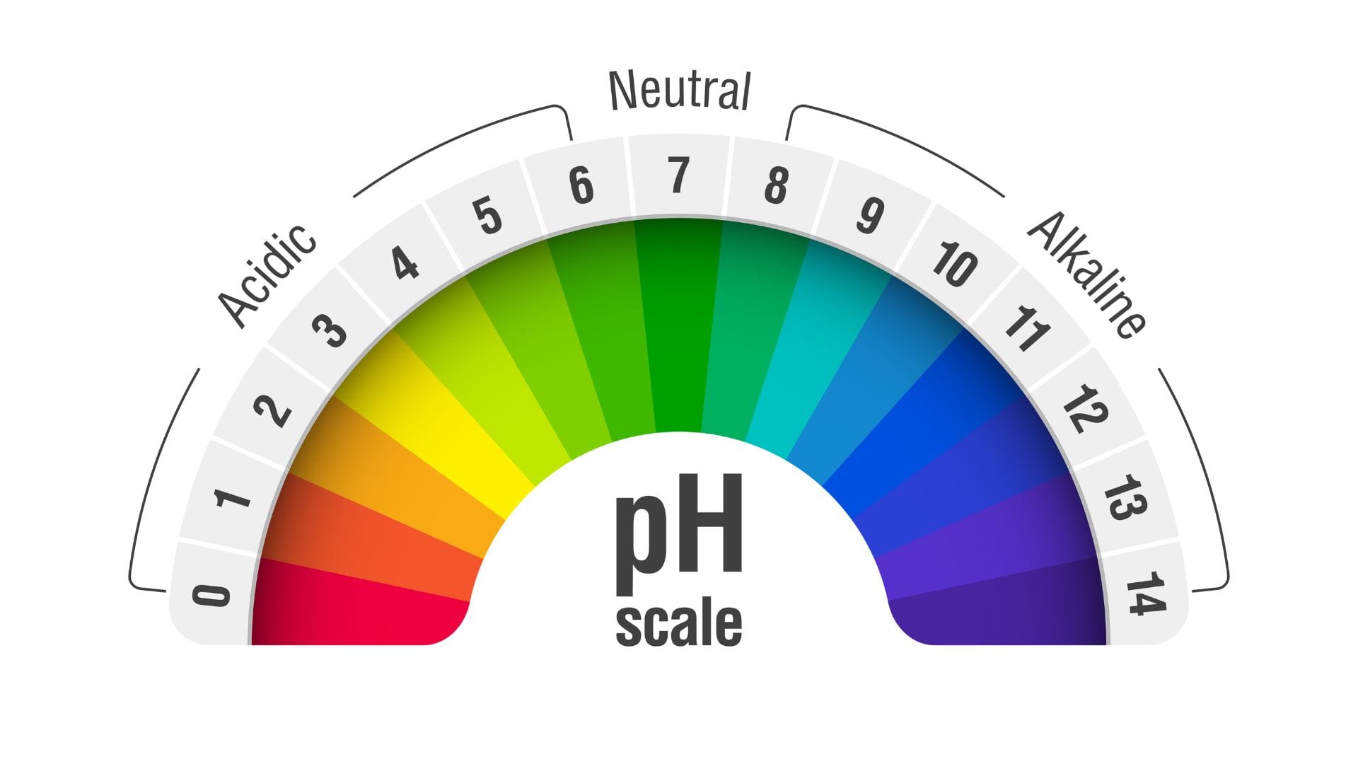 The pH scale illustrated