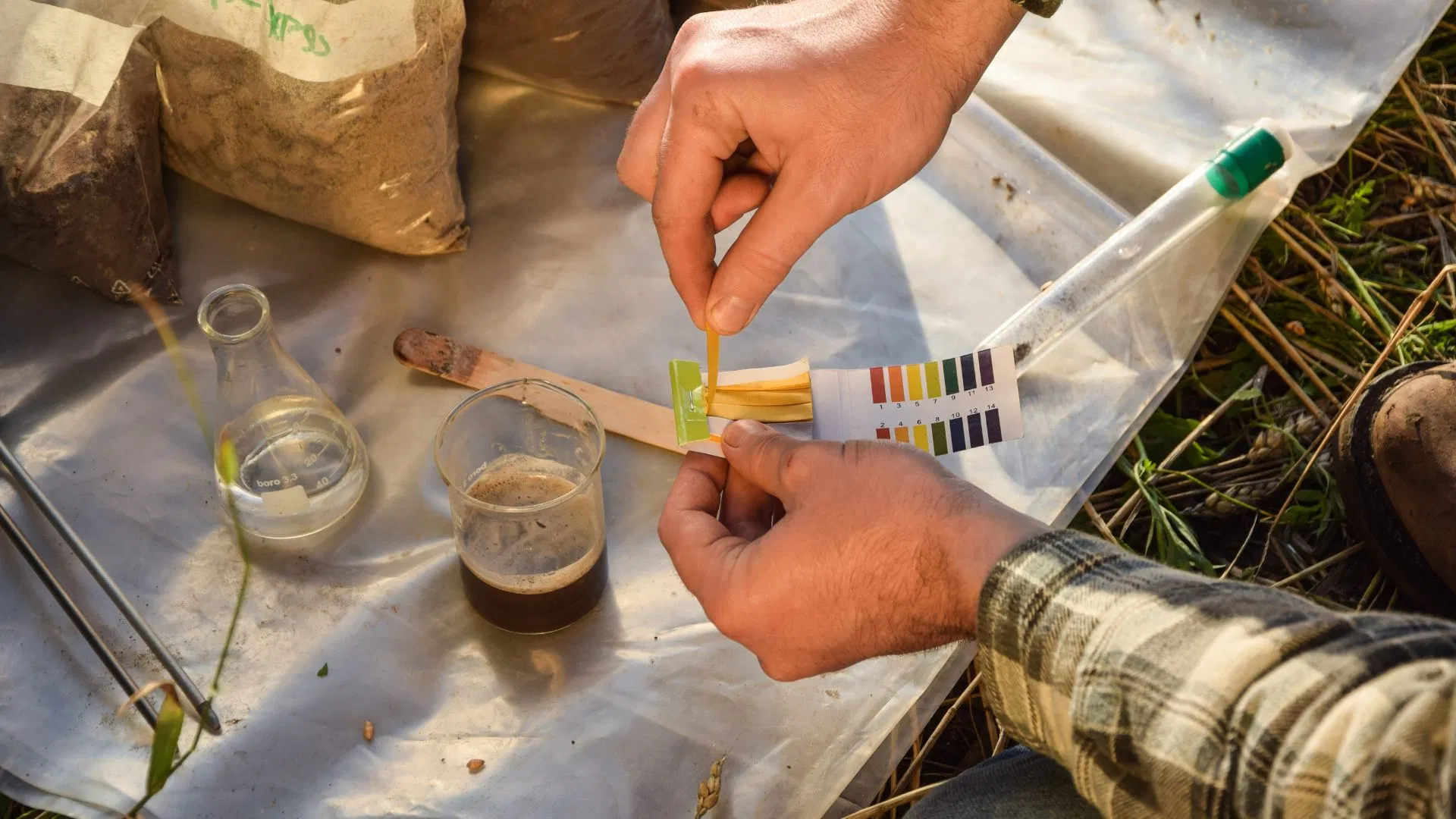 pH test kit