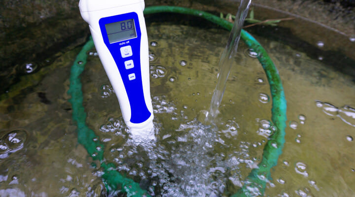 Monitor your water's pH