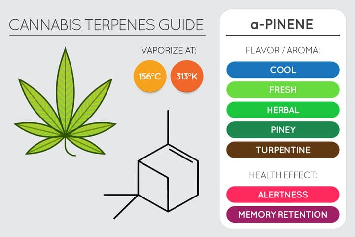 what is pinene